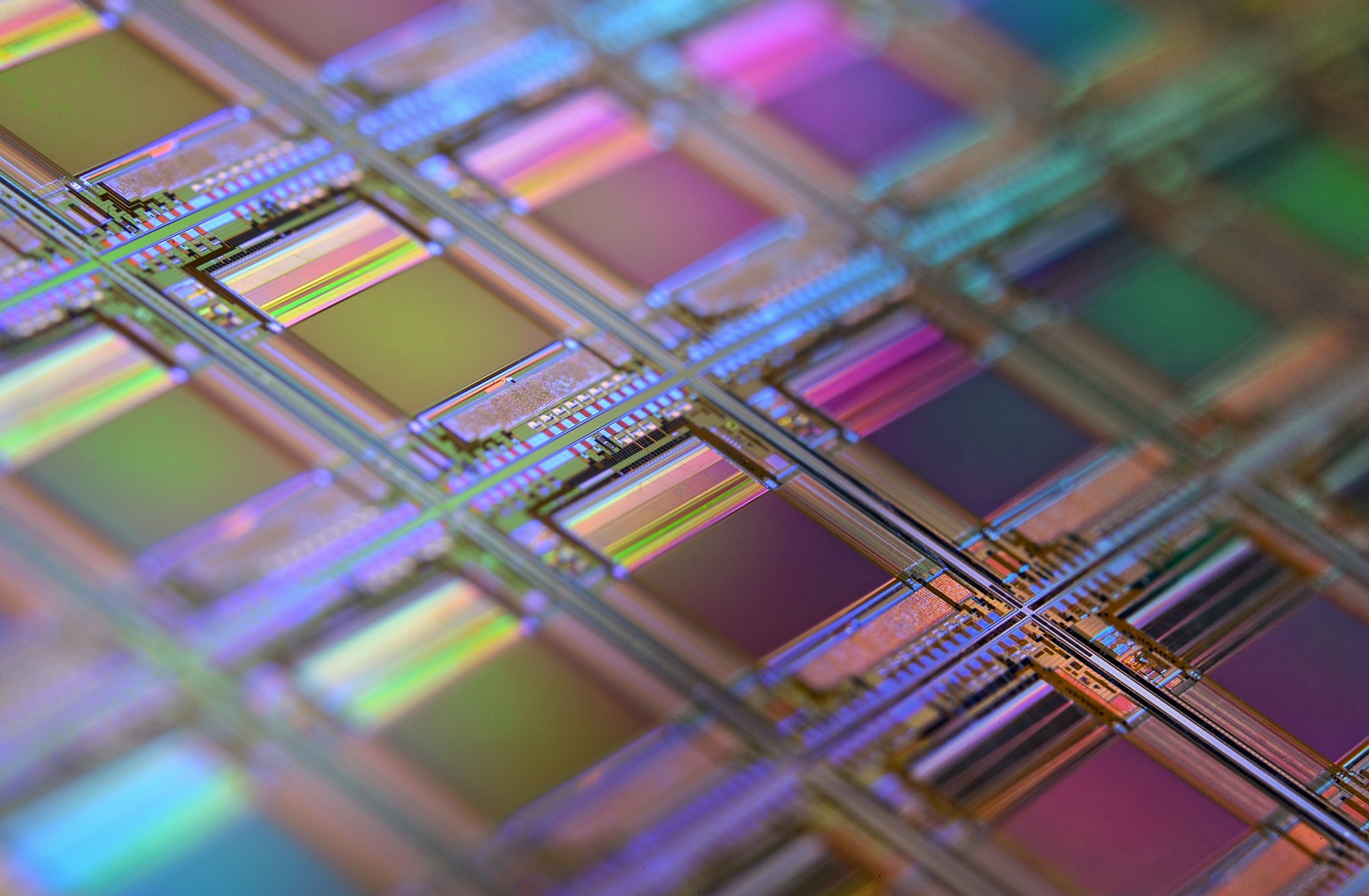 Close-up of a silicon wafer with rows of microchips