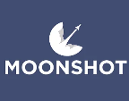 Moonshot